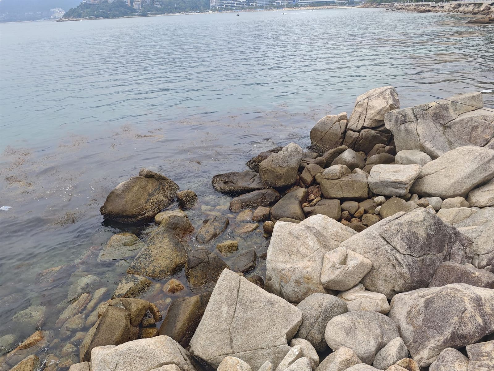 海边礁石